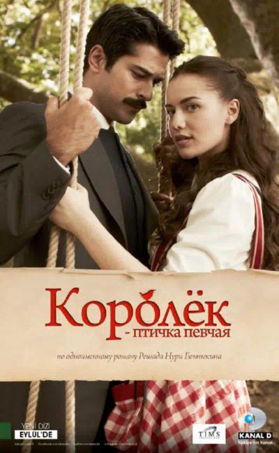 Королёк – птичка певчая смотреть онлайн бесплатно